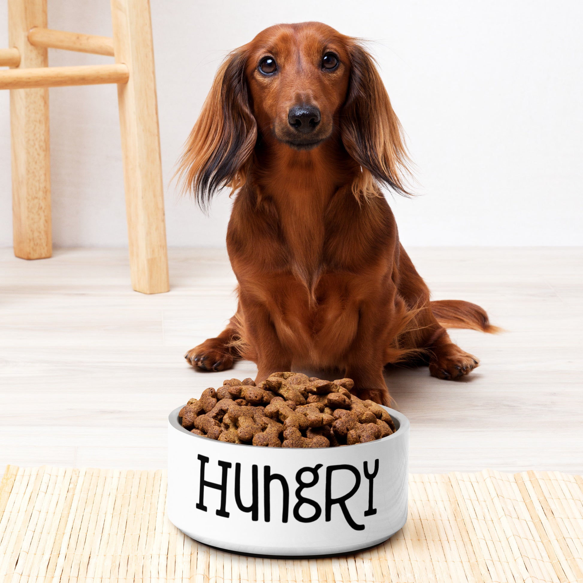 Hungry Pet bowl