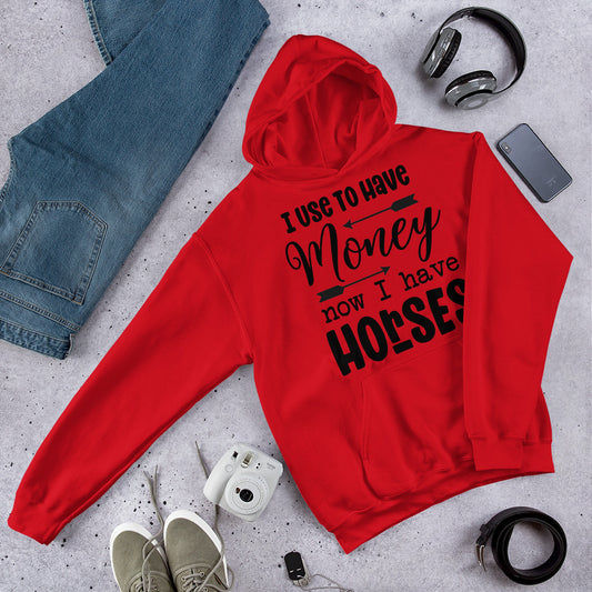 I Use To Have Money Unisex Hoodie