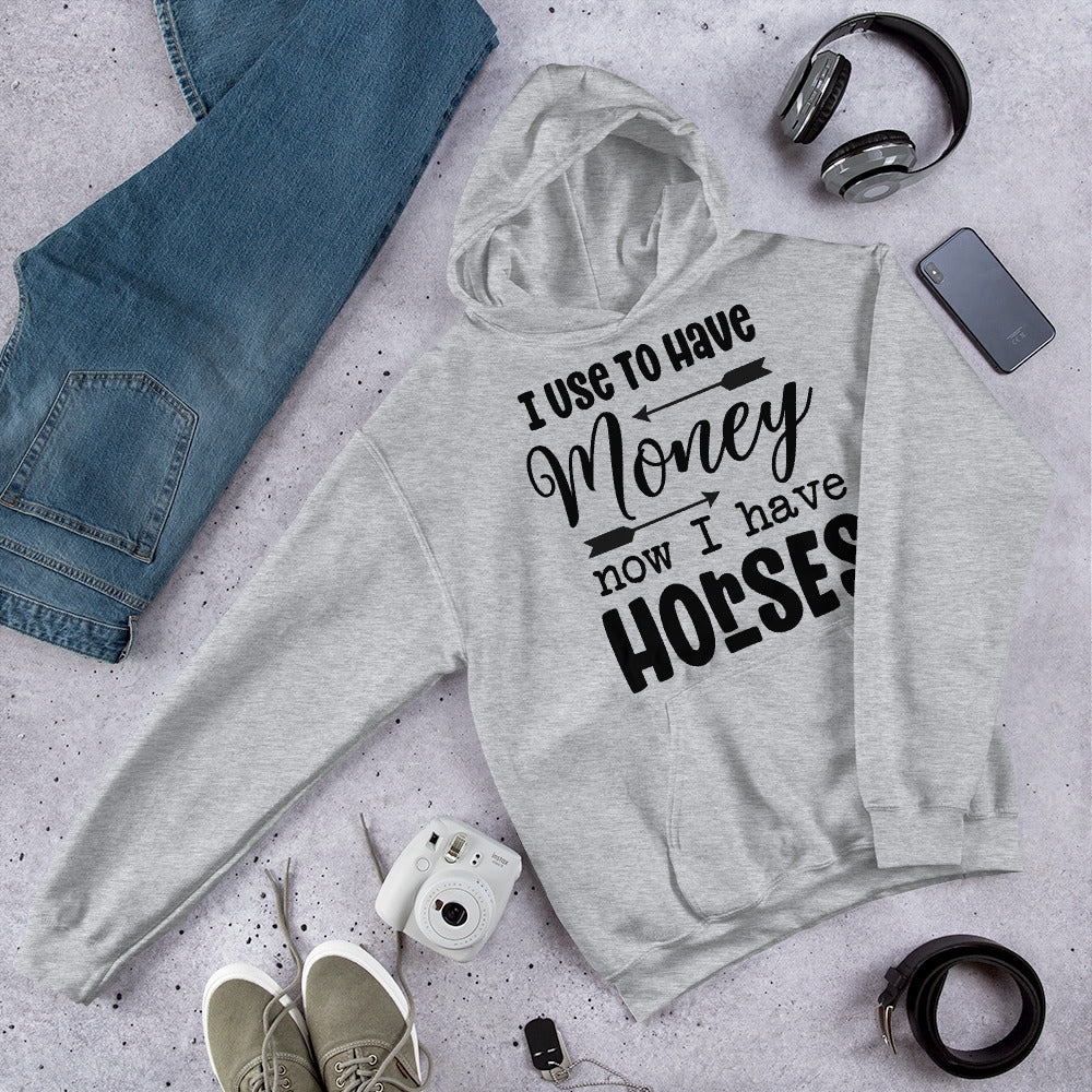 I Use To Have Money Unisex Hoodie